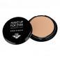 Preview: Pro Finish - Pro Version